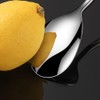 Wenkoni 6"Small Dessert Spoons, Yogurt Spoons,Coffee Spoons,Espresso Spoons,Ice Cream Spoons,SUS