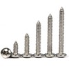 Drenky 100pcs M4 Stainless Steel Self Tapping Screws Phillips Pan