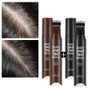 [1+1]Quick hair gray cover tint brush/grey cover, bare hair cover, tint brush_natural brown 2pcs / [1+1]퀵 헤어 새치커버 틴트 브러쉬/새치커버,빈모커버, 틴트브러쉬_내추럴브라운2개