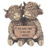 Lesser & Pavey Highland Hughie Me & Moo Decor Figurine