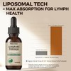 Lymphatic Drainage Drops, 20-in-1 Liposomal Lymphatic Support Drops for Immune