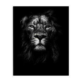 Stupell Industries King of The Jungle Lion in Shadows Black and White Photography Canvas Wall Art, 16x20, Multicolor