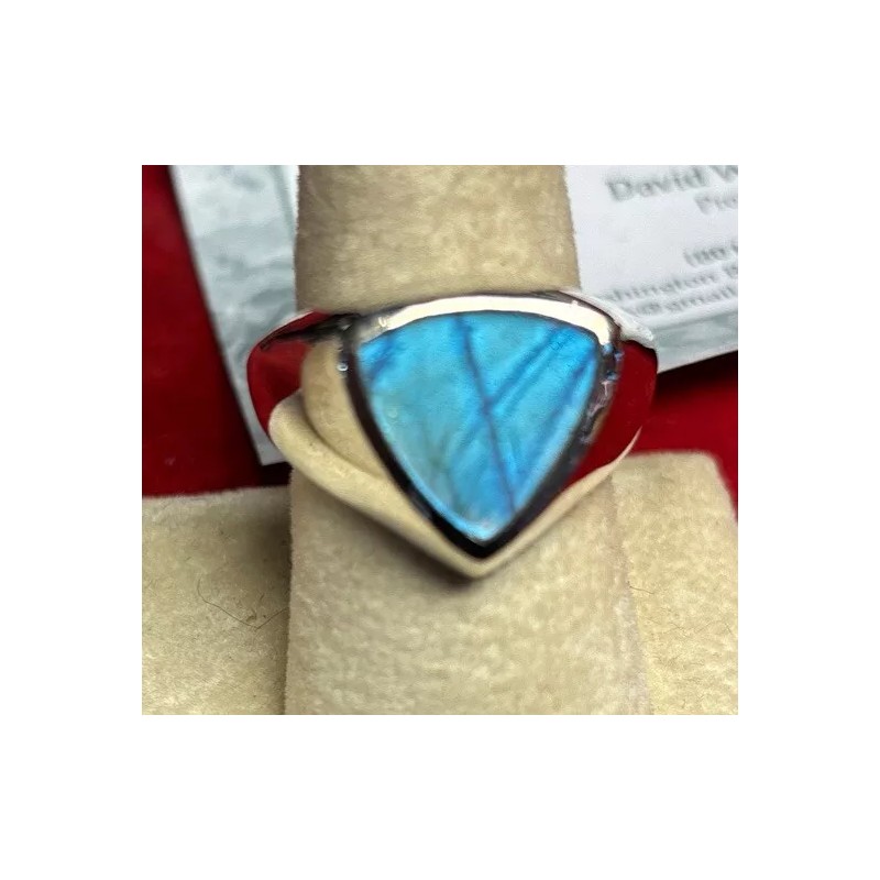 Natural Creations mens sterling silver ring Size 8 Labradorite