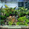 XLTXWD 4Pcs Reptile Accessories, Vivarium Decoration with Three Artificial Plants,