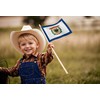 West Virginia State Handheld Stick Flag 4x6 Inch 12 Pack