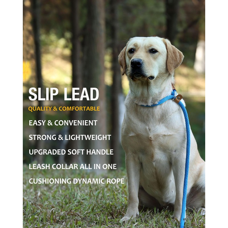 lynxking 5 FT Dog Leash Slip Lead 2 Pack Strong