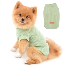 PAIDEFUL Dog Shirts for Small Medium Dogs Cats Boys Girls Plain Soft Cotton Vest T-Shirts Summer Sleeveless Breathable Tee Puppy Chihuahua Yorkie Clothing Pet Green S