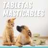 Fancy Pets MS Probióticos para Perros y Gatos con 60