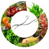 XILEWHZF Aquarium Scissors, 13.8" Aquarium Scissors Extra Long