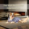 FELPACTIVE - Exclusive Dog Robe - Pamper and Protect Your