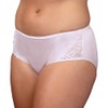 Shadowline Women's Underwear Nylon Hipster Panty with Lace Insert 3