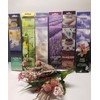 Hosley 120 Pack Assorted Incense Sticks + Bonus 120 Pack