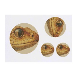 4 x 'Yellow Snake Head' Temporary Tattoos - Water Resistant, Skin-Safe, Non-Toxic Transfers, Mixed Sizes (TO00080678)