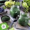 Organic Chlorella Powder - 100 g. Chlorella Algae Powder Made