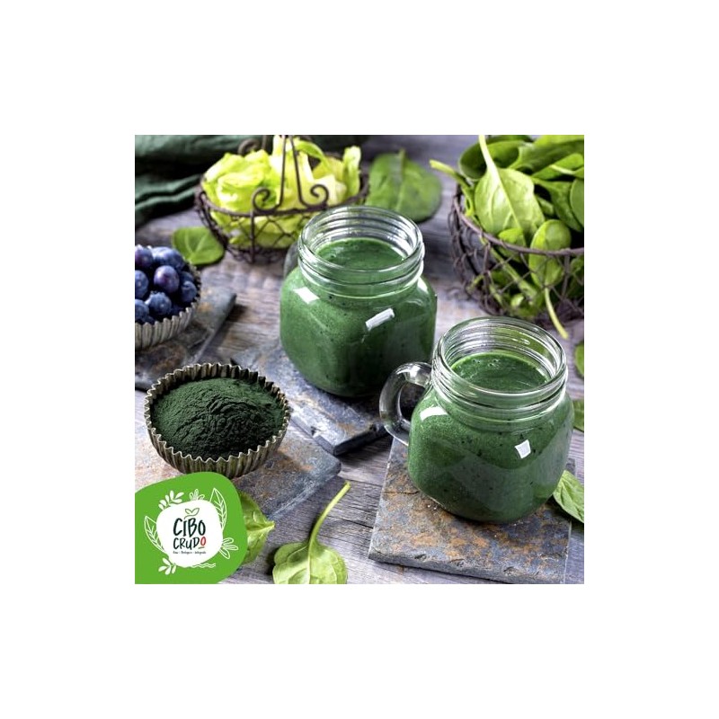 Organic Chlorella Powder - 100 g. Chlorella Algae Powder Made