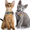 Faygarsle 2 Pack Breakaway Cute Cat Collars with Bow Ties