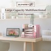 SUPEASY Mesh Desk Organizer with File Holder, 5-Tier Paper Letter