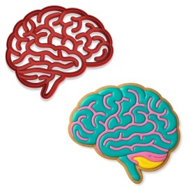Mighty Gadget Human Brain Cookie Cutter & Stamp - 4x3.42 Inches, AnatomyThemes (Random Color)