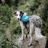 Outward Hound DayPak Blue Dog Saddleback Backpack, Large