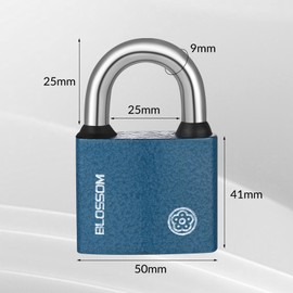 RosewineC Heavy Duty Padlock, Iron Padlock with 3 Keys, Heavy Duty Padlock Outdoor Weatherproof, Security Padlock for Shed, Warehouse, Fence, Office (50 MM)