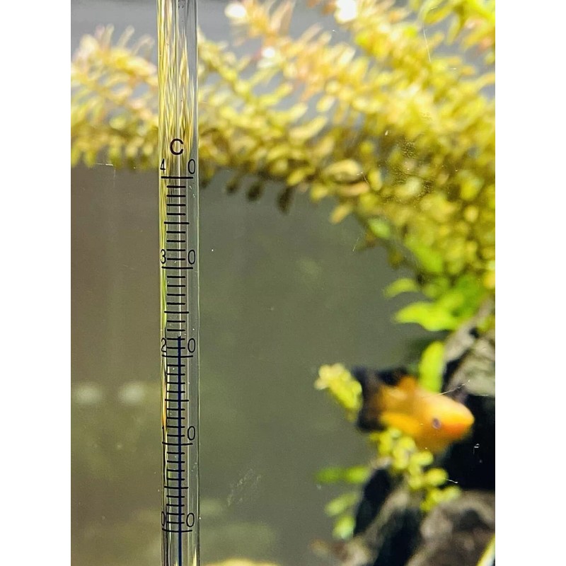 LANDEN Aquarium Thermometer for Rimless 10mm White Scale Background for