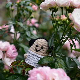 qyqkfly 1 Pcs Mini Cute Funny Positive Life Bunny Creative Knitted Animal Holding Card Crochet Easter Birthday Christmas Girls Gifts Party Decor(Potato)