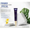 Base De Maquillaje Y Protector Solar Fps 50 Terramar 20ml