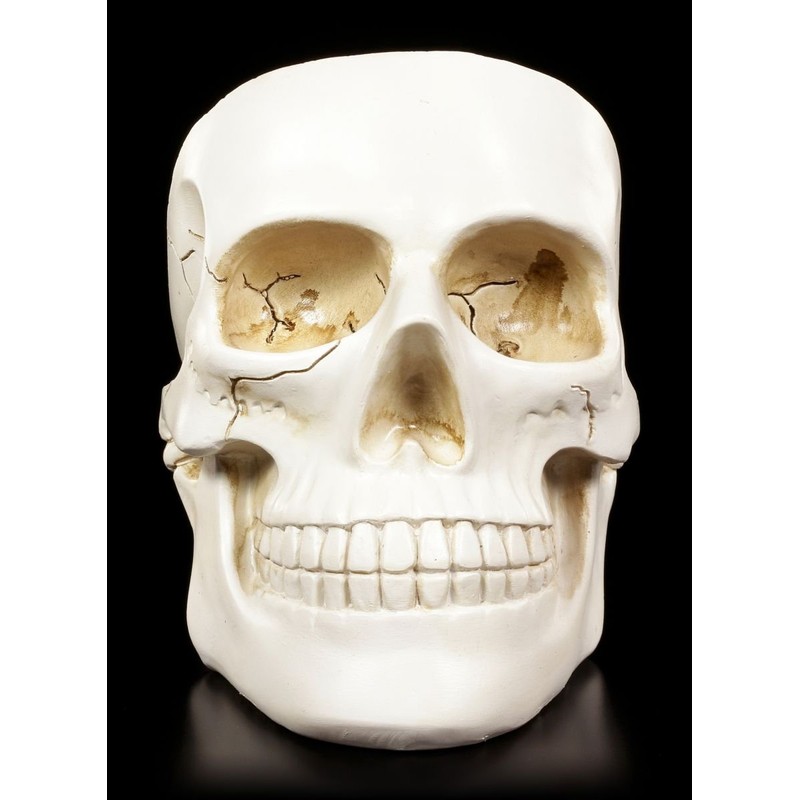 White Skull Bowl Decorative Fruit Bowl Skull