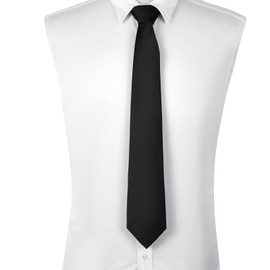 DecTwig Men's Ties Solid Color Formal Neckties 3.15"（8CM） Black Ties For Men, Black, Medium