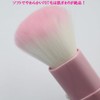 [Made in Japan] Slide Face Brush (US-04)