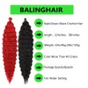 Ocean Wave Crochet Hair 30 Inch Deep Wave Braiding Hair