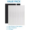 D480 True HEPA Replacement Filter D4, Compatible with Winix D480