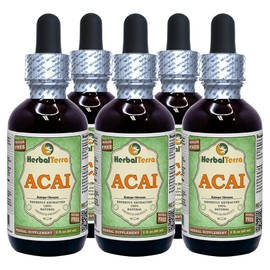 Acai (Euterpe oleracea) Glycerite, Organic Berries Alcohol-Free Liquid Extract (Brand Name: HerbalTerra, Proudly Made in USA) 5x2 fl.oz (5x60 ml)