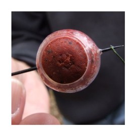 Gardner Hard Ball Bait Saver 18-25mm