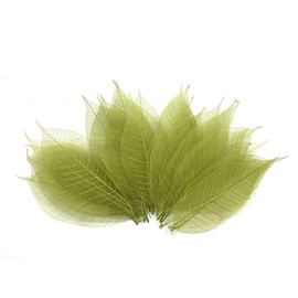 Thai Handmade 100 Pcs Olive Green Skeleton Leaves Rubber Tree Natural Scrapbook Craft CARD Wedding By RATREE SHOP
