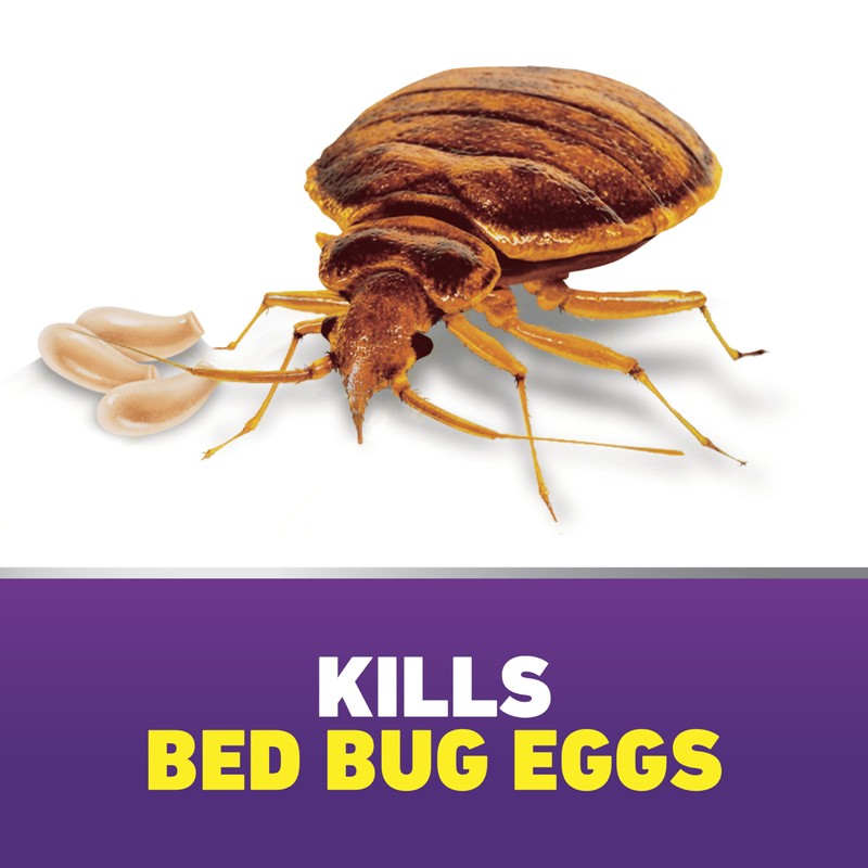 Ortho Home Defense Max Bed Bug Killer - Also Kills