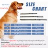 Monstoyo Martingale Collar for Dogs, Hidden No Pull Dog Collar