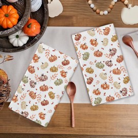 RABUSOFA Fall Kitchen Towels Dish Towels, 18x26 Inch Polka Dot Orange Pumpkin Farmhouse Autumn Thanksgiving Decorations Hand Towels Set of 2