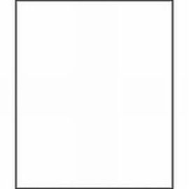 Impact Muslin Background - 10 x 12' (White) [Camera]