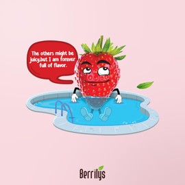 Berrilys Freeze Dried Sliced Strawberries, Healthy Snack, No Added Sugar, Non-Gmo, Pack of 7, 0.88 Oz each