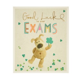 Boofle Good Luck Card - Good Luck in Your Exams Card Cute Good Luck Card, 695238-0-1, Multi