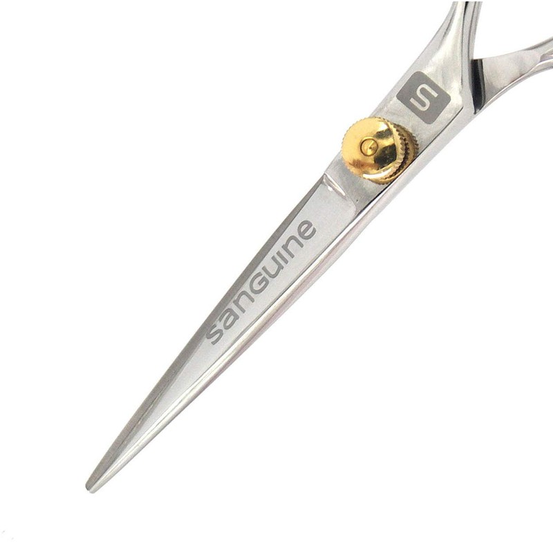 Professional Hair Cutting Scissors, 5.5 Inches, Hairdressing Scissors, Salon Quality