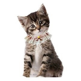 Collar Rosa Para Gatos Y Perros, Babero De Encaje Y Moño