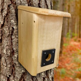 Small Winter Roost Bird House – Cold Weather Shelter with Slate Predator Guard & Internal Perches – Insulated Pine Roosting Box for Wrens, Chickadees, Titmice, Nuthatches & Bluebirds – USA Made