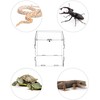 QWORK® Reptile Acrylic Feeding Box, 15 x 15 x 15