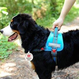 Service Dog Tag For Harness, Service dog ID Tag,Double Side Engraved Protected Under Federal Law with Medical Alert Symbol Easily Attach to Dog Collar, Harness or Vest (M)