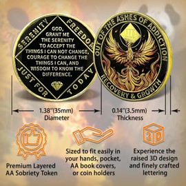 Leafence Phoenix Recovery Coin with Serenity Prayer Commemorative Addiction Recovery Medallion Sobriety Coin NA AA Chips Challenge Coin Narcotics Alcoholics Anonymous (Phoenix Recovery, 3 Years)