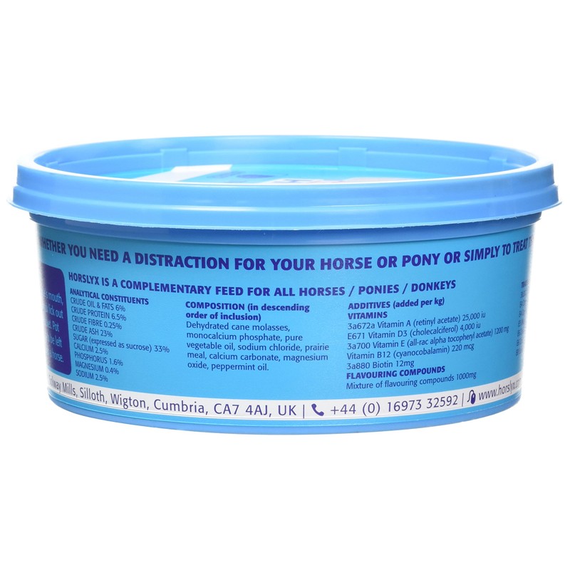 Mini Horslyx Licking Mass, Horse Supplement, Mint 650 g