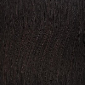 SWIRL BUN BANG (2 Dark Brown) - Freetress Equal Synthetic Bun & China Bang