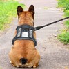 Haapaw Heavy Duty Tactical Dog Harness for Medium Dogs, No